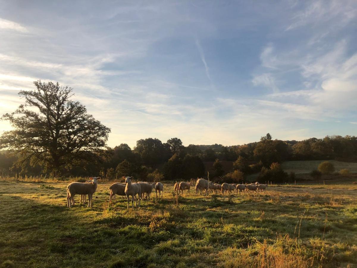 La Ferme Aux Cinq Sens Vila Bussiere-Boffy Exterior foto